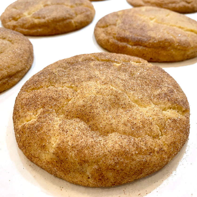 Snickerdoodle - Large - Image 2